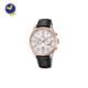 mister-watch-orologeria-biella-borgomanero-orologio-uomo-festina-cronografo-uomo-timeless-f16997-1-3